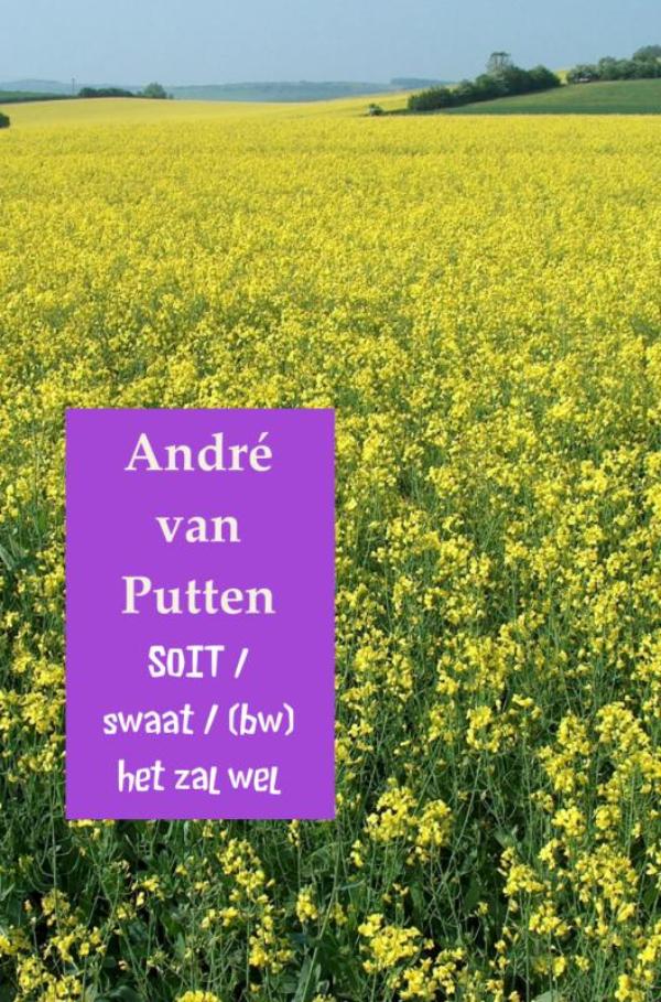 Omslag van Soit / swaat / (bw)/het zal wel