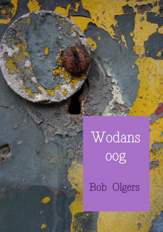 Omslag van Wodans oog