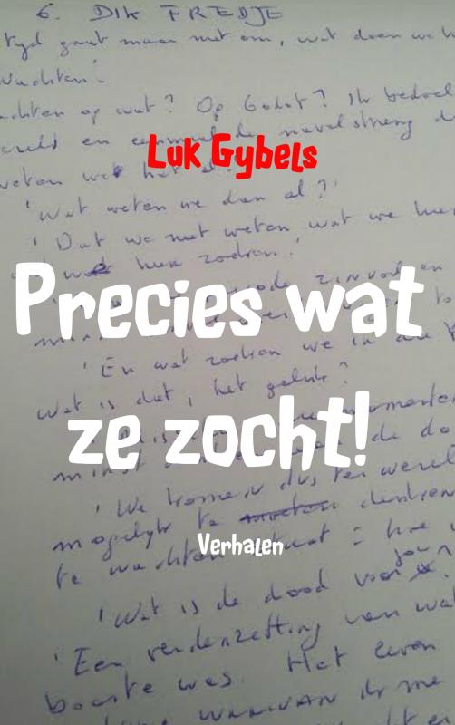 Omslag van Precies wat ze zocht!