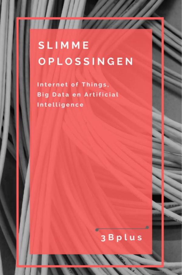 Omslag van Slimme oplossingen
