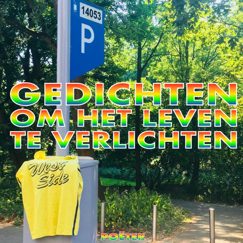 Omslag van GEDICHTEN OM HET LEVEN TE VERLICHTEN