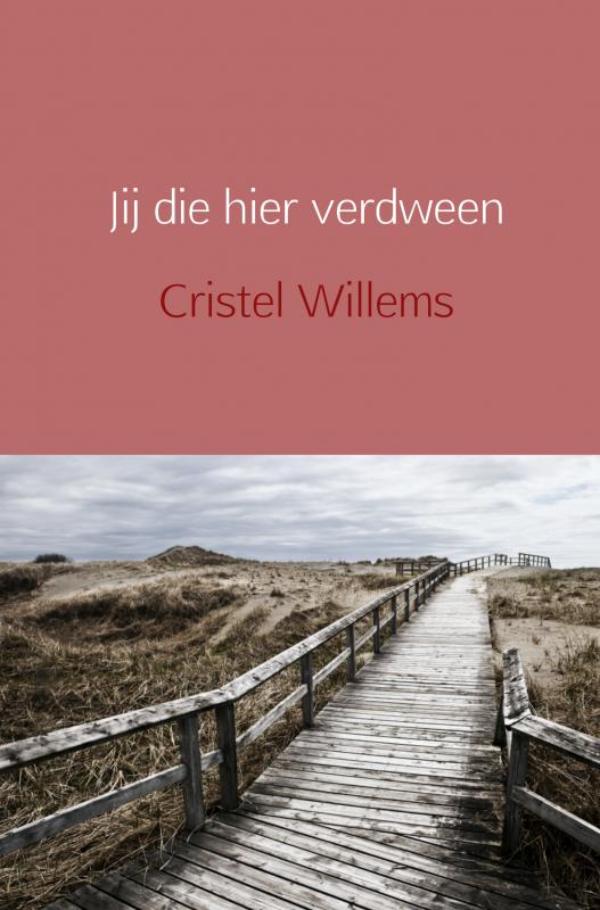 Omslag van Jij die hier verdween
