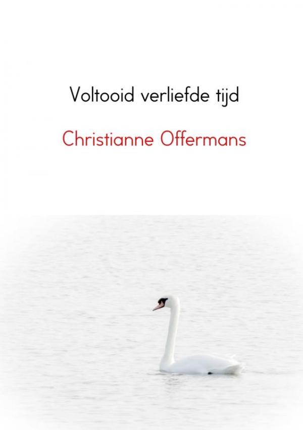 Omslag van Voltooid verliefde tijd