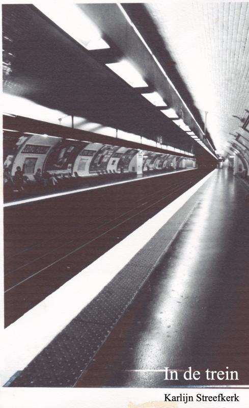 Omslag van In de trein