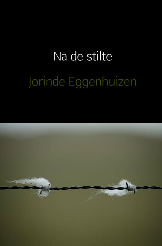 Omslag van Na de stilte