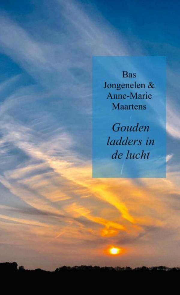 Omslag van Gouden ladders in de lucht