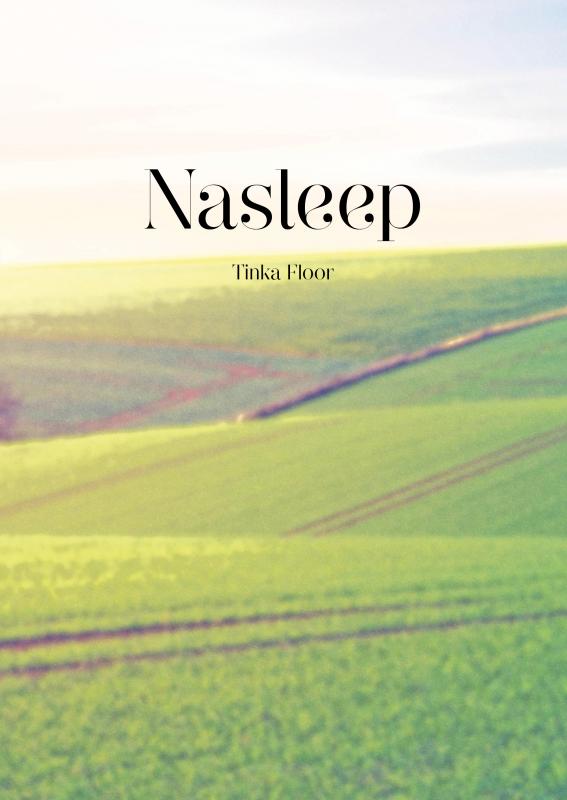 Omslag van Nasleep