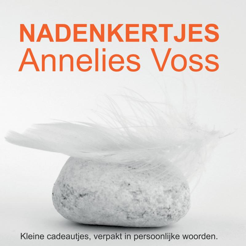 Omslag van Na-denkertjes