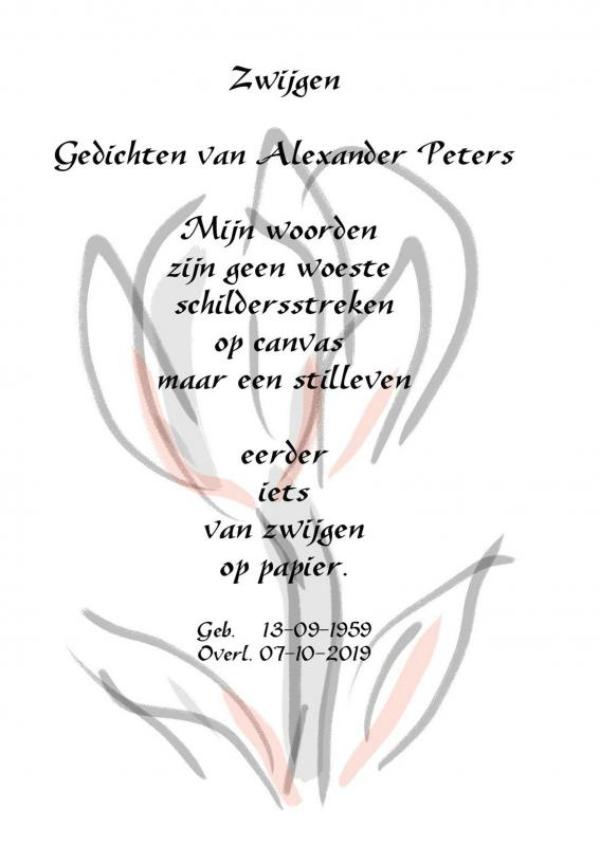 Omslag van Zwijgen