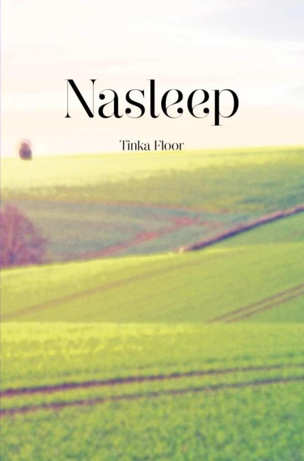 Omslag van Nasleep