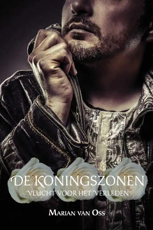 Omslag van De Koningszonen