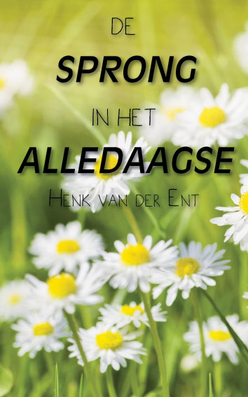Omslag van De sprong in het alledaagse