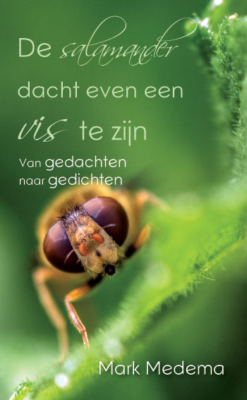 Omslag van De salamander dacht even een vis te zijn