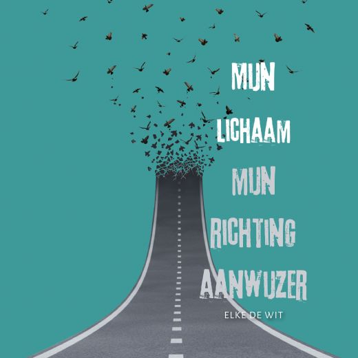Omslag van Mijn lichaam, mijn richtingaanwijzer