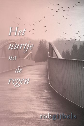 Omslag van Het uurtje na de regen