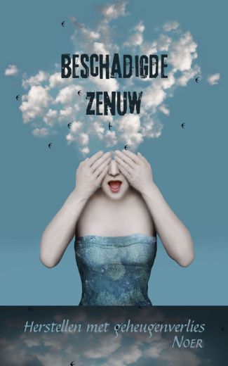 Omslag van Beschadigde zenuw