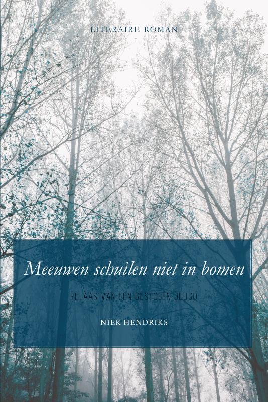 Omslag van Meeuwen schuilen niet in bomen