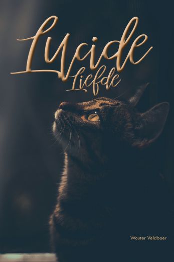 Omslag van Lucide Liefde