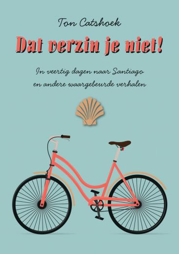 Omslag van Dat verzin je niet!