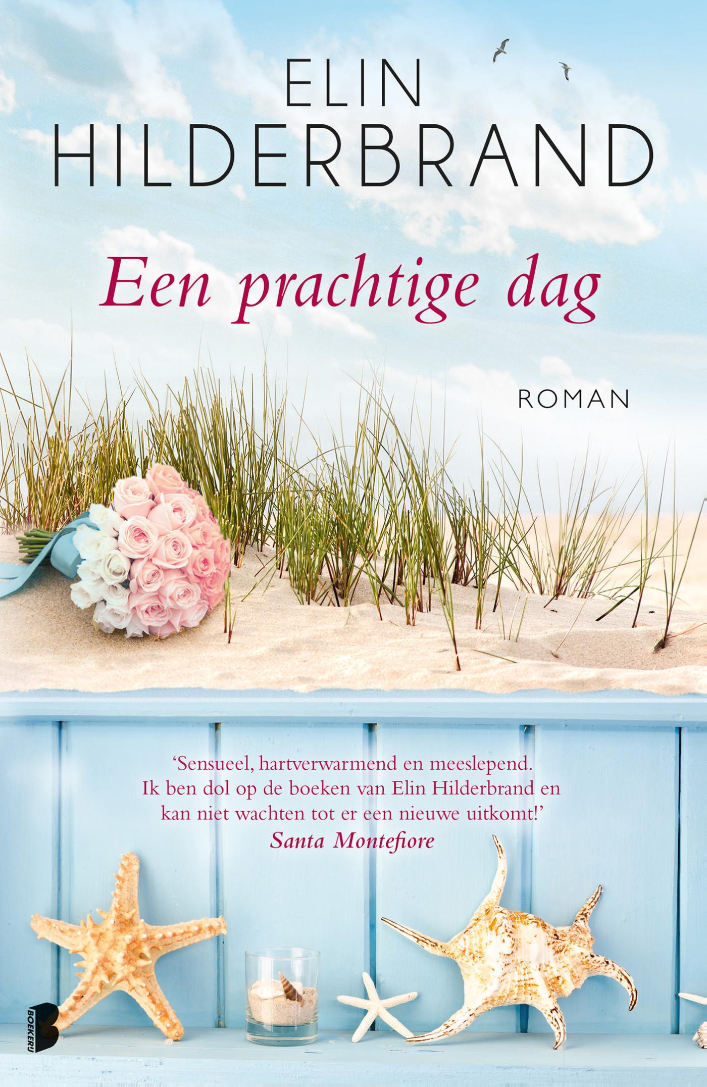 Omslag van Een prachtige dag