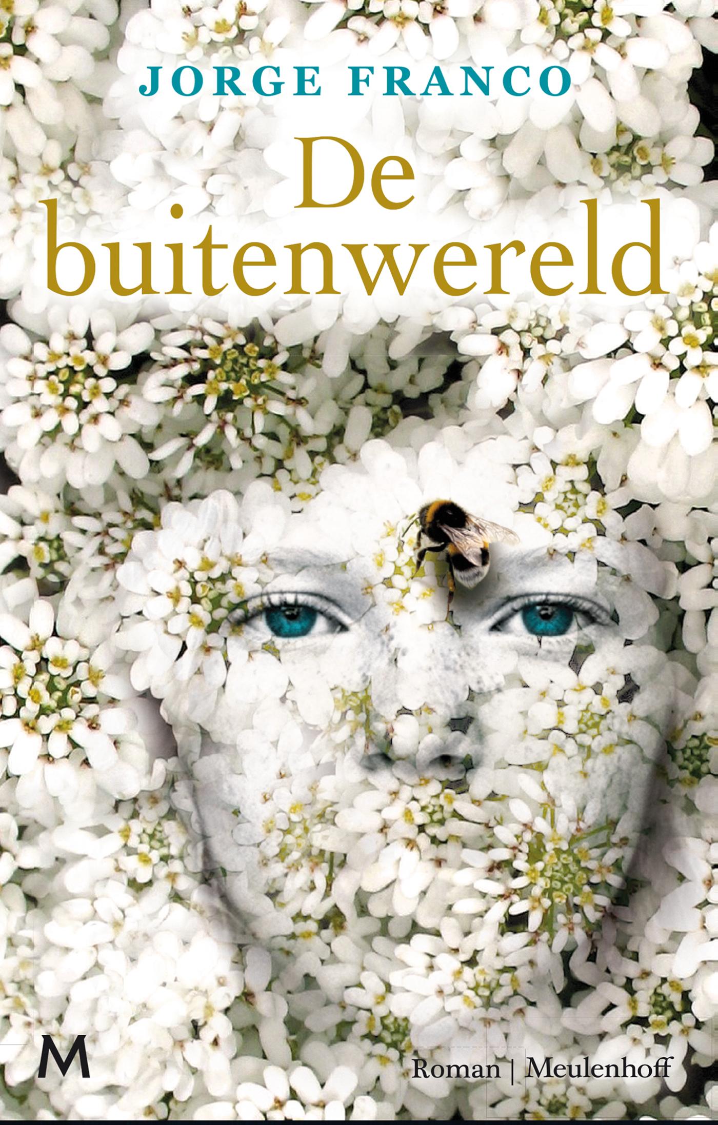 Omslag van De buitenwereld