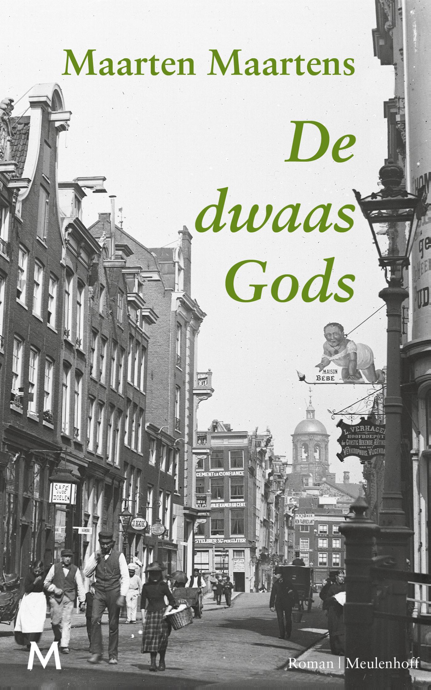 Omslag van De dwaas Gods
