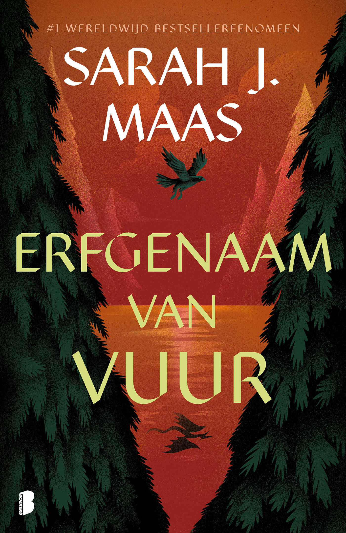 Omslag van Erfgenaam van vuur