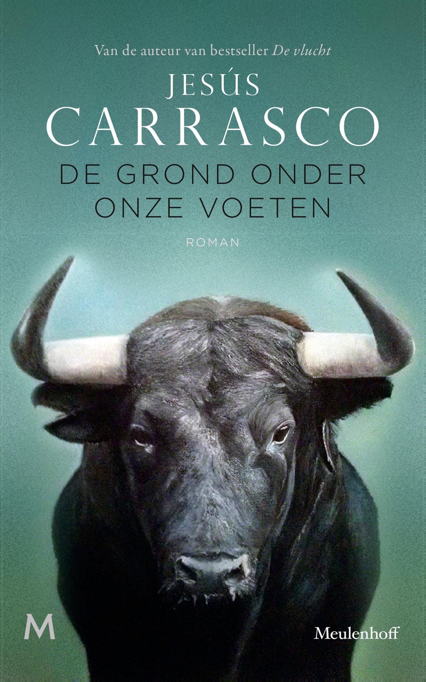 Omslag van De grond onder onze voeten