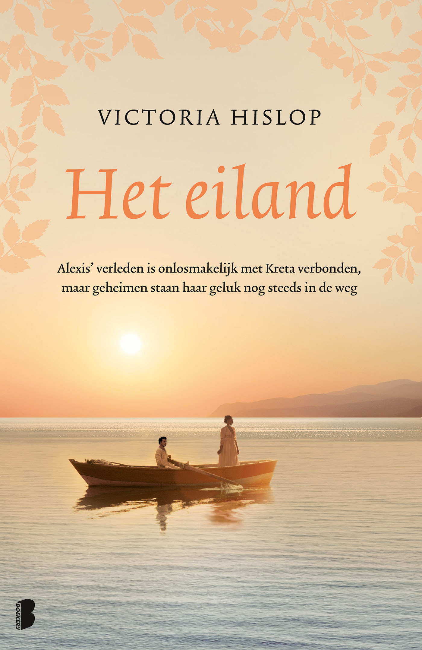 Omslag van Het eiland