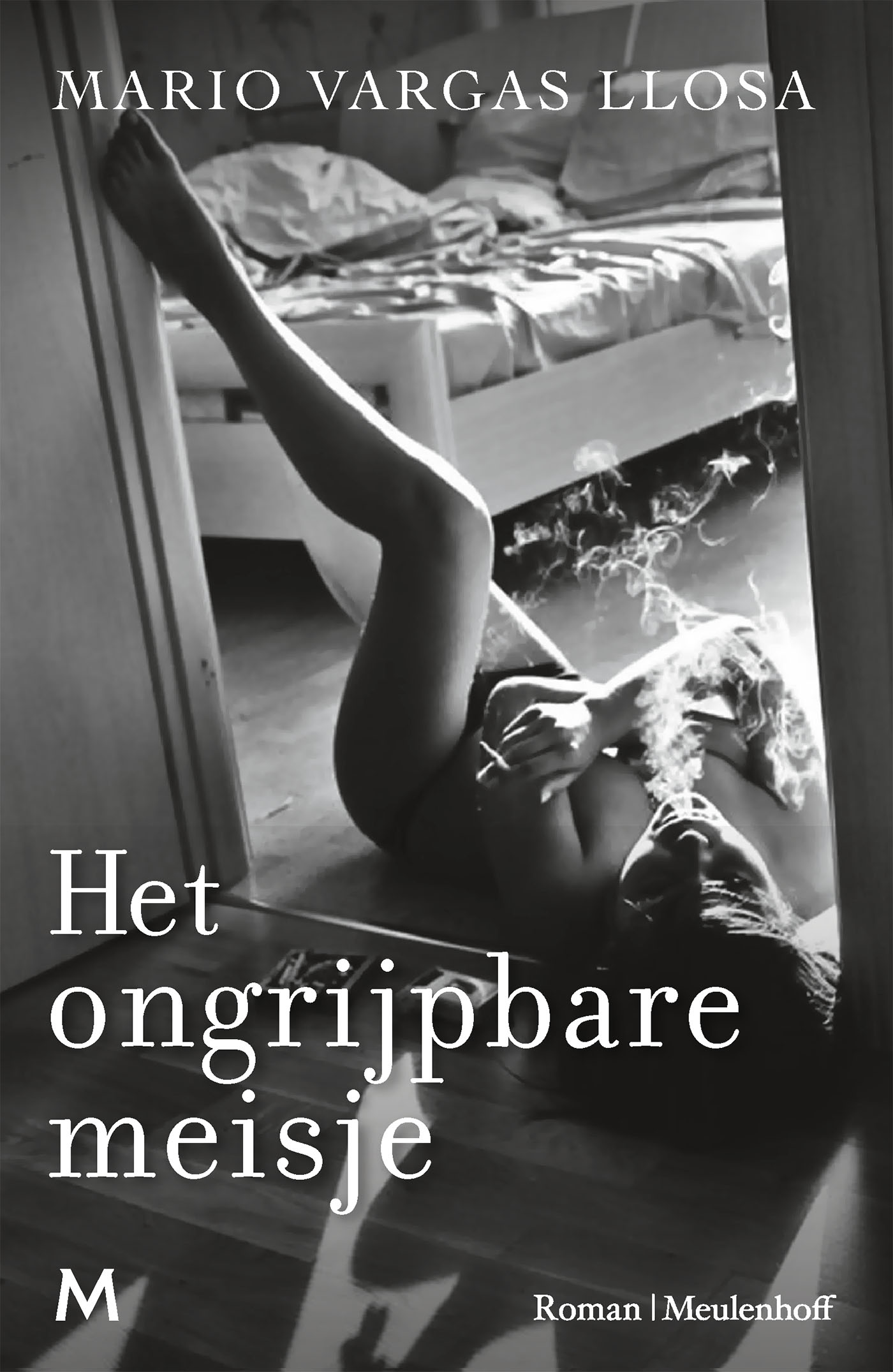 Omslag van Het ongrijpbare meisje