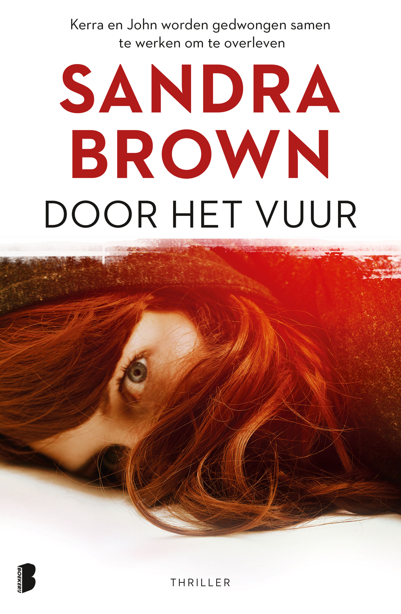 Omslag van Door het vuur
