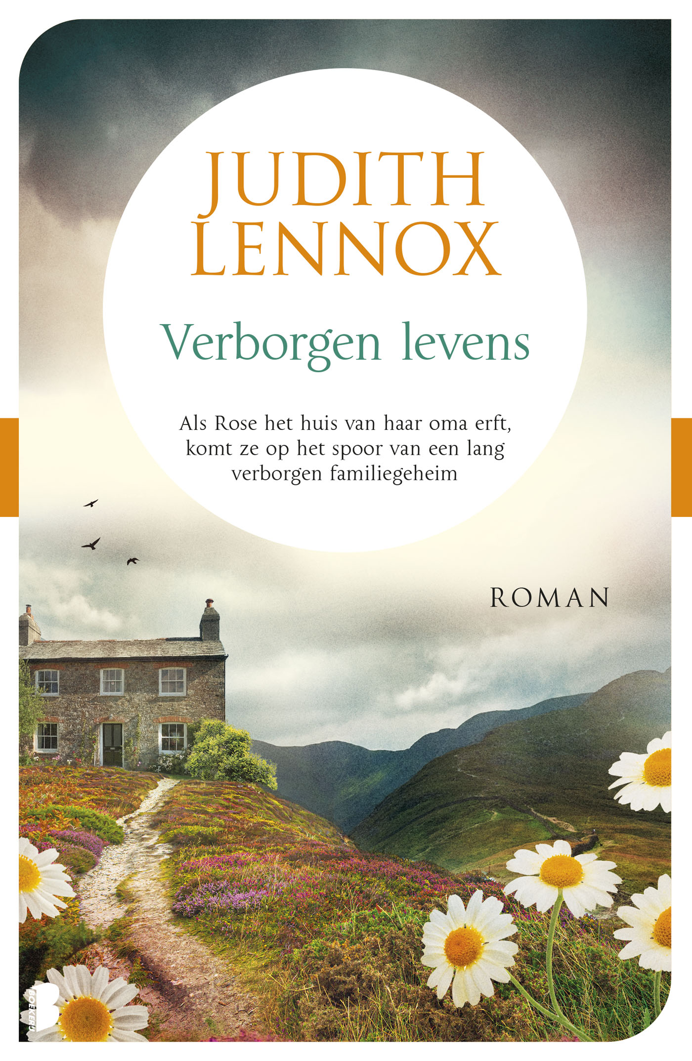 Omslag van Verborgen levens