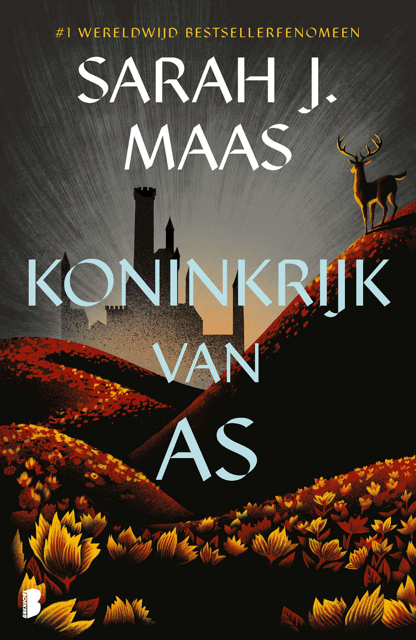 Omslag van Koninkrijk van as