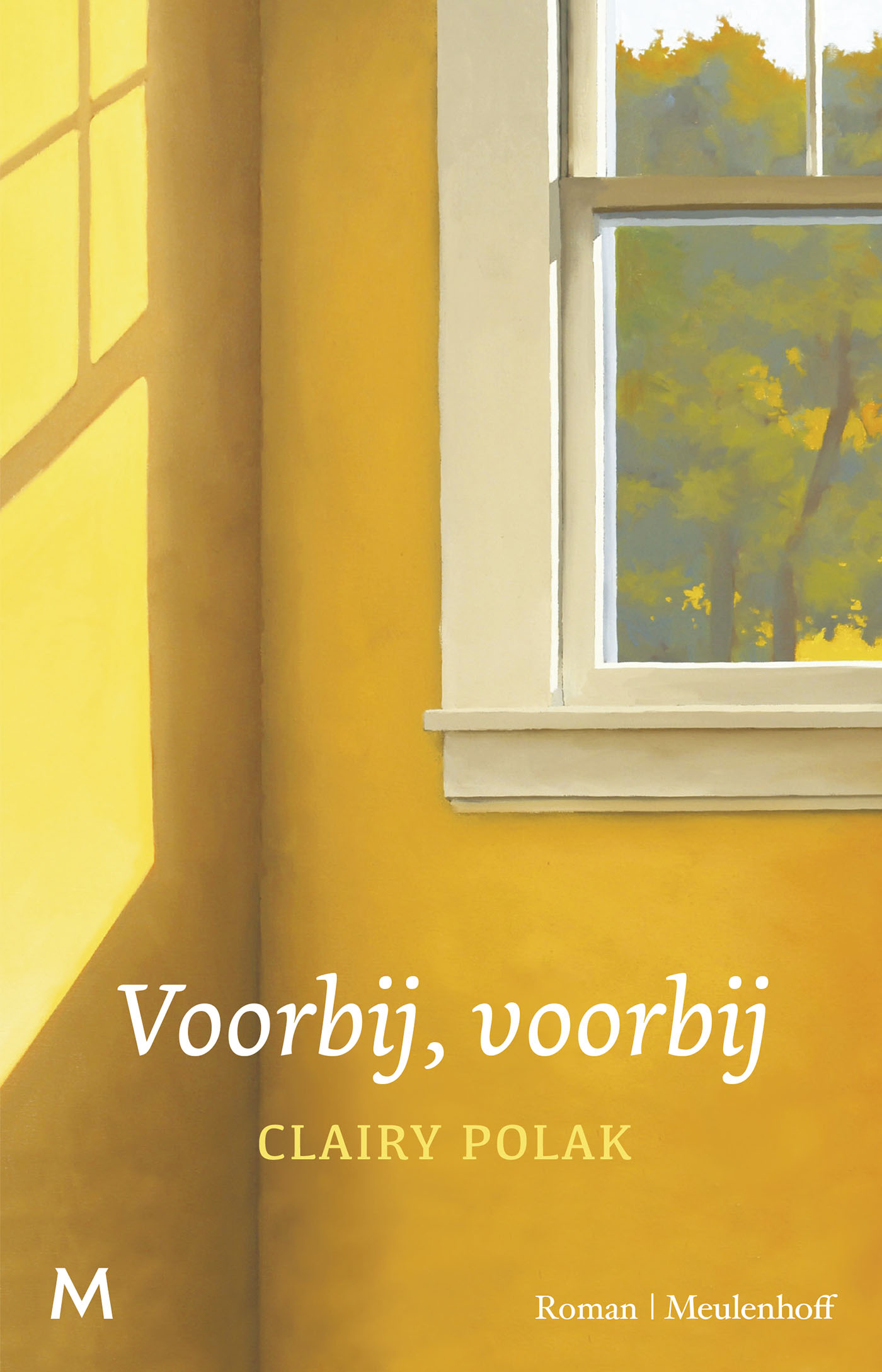 Omslag van Voorbij, voorbij