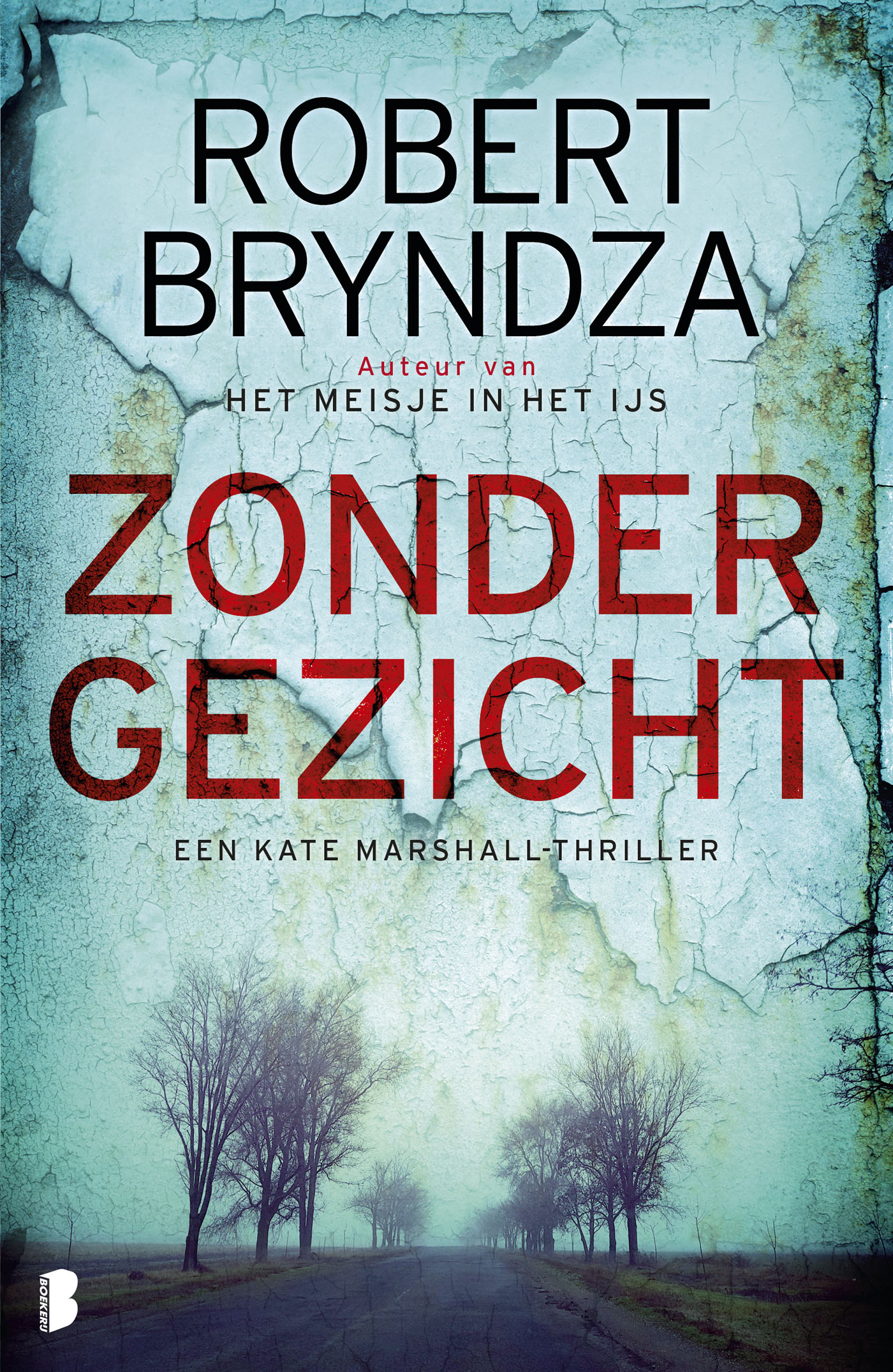 Omslag van Zonder gezicht