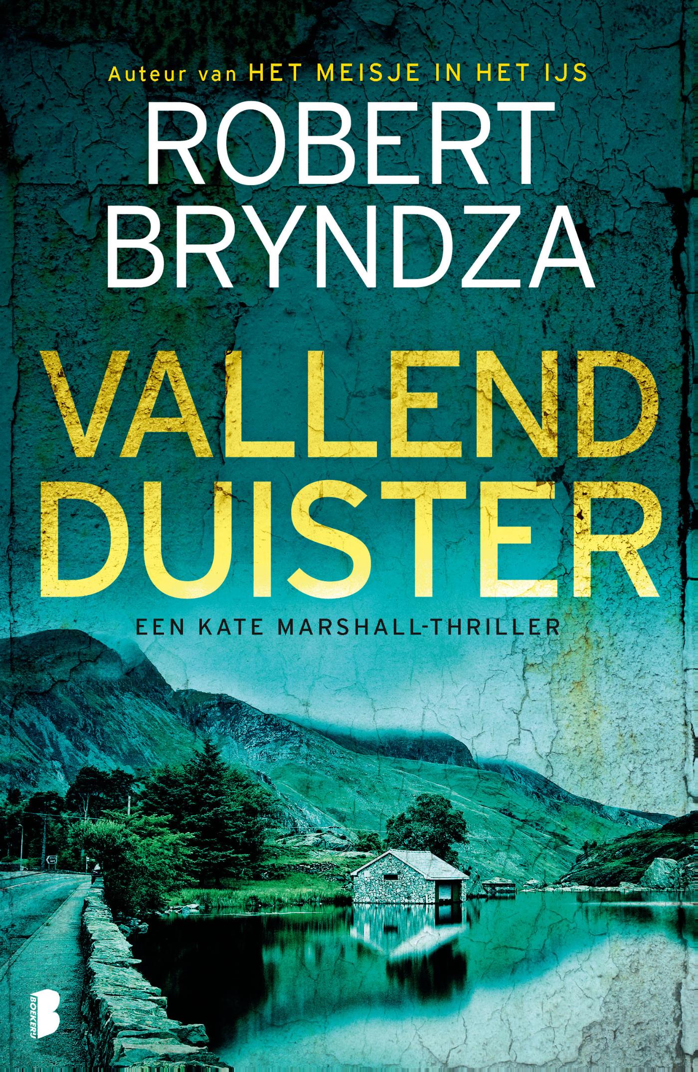 Omslag van Vallend duister