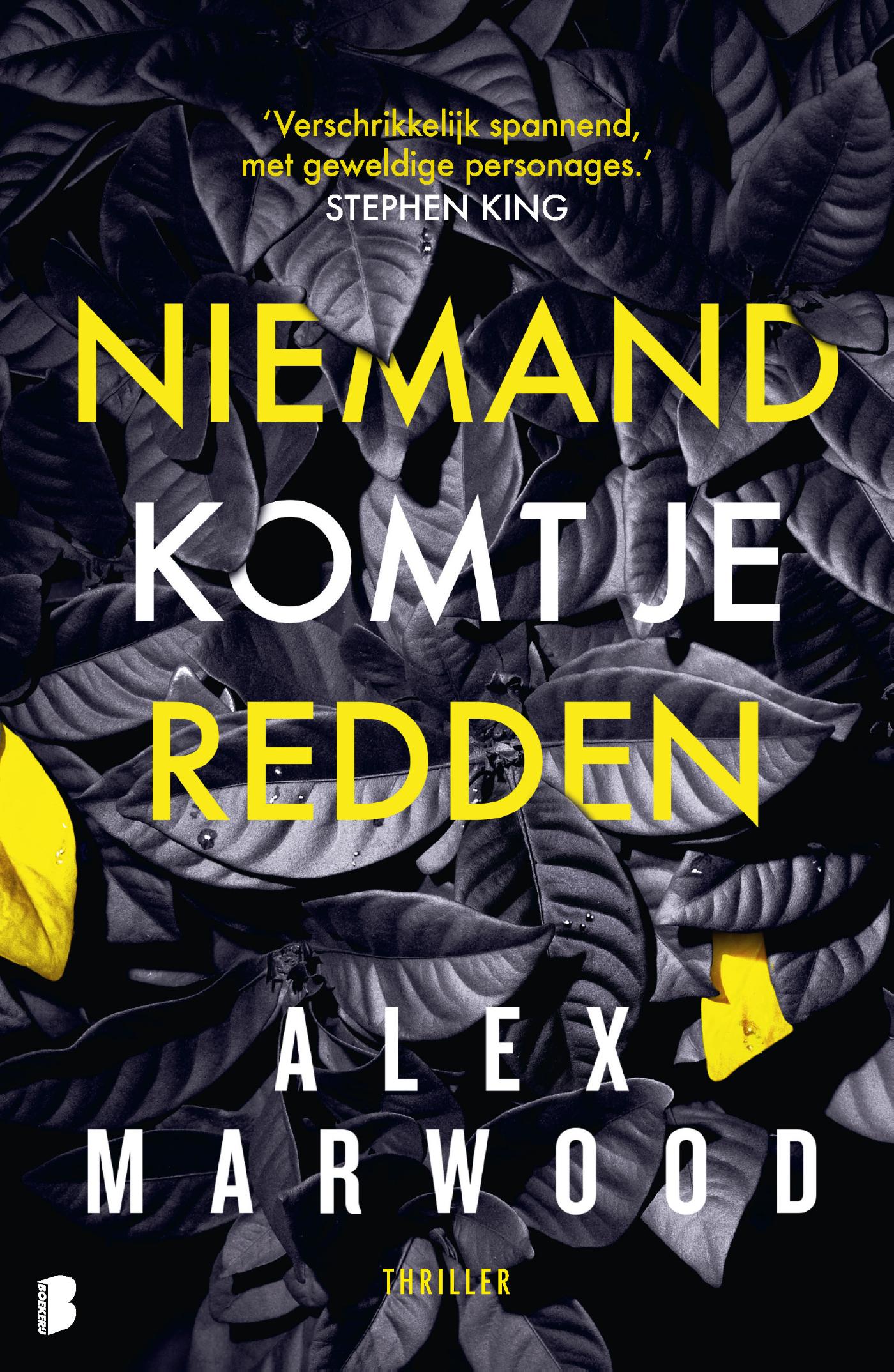 Omslag van Niemand komt je redden