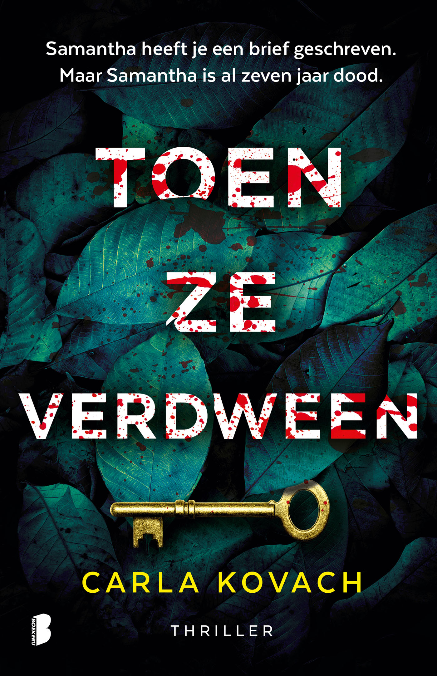 Omslag van Toen ze verdween