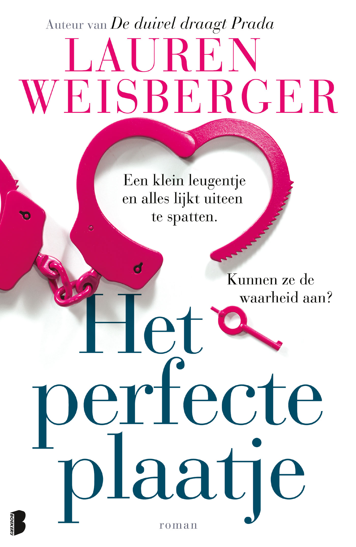 Omslag van Het perfecte plaatje