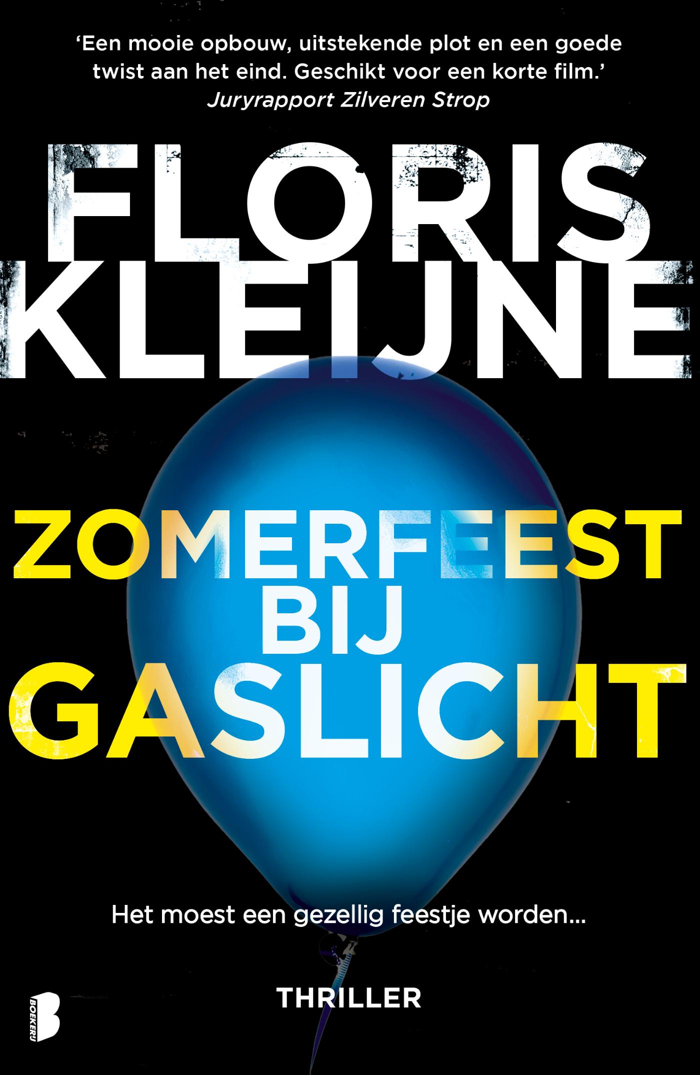 Omslag van Zomerfeest bij gaslicht