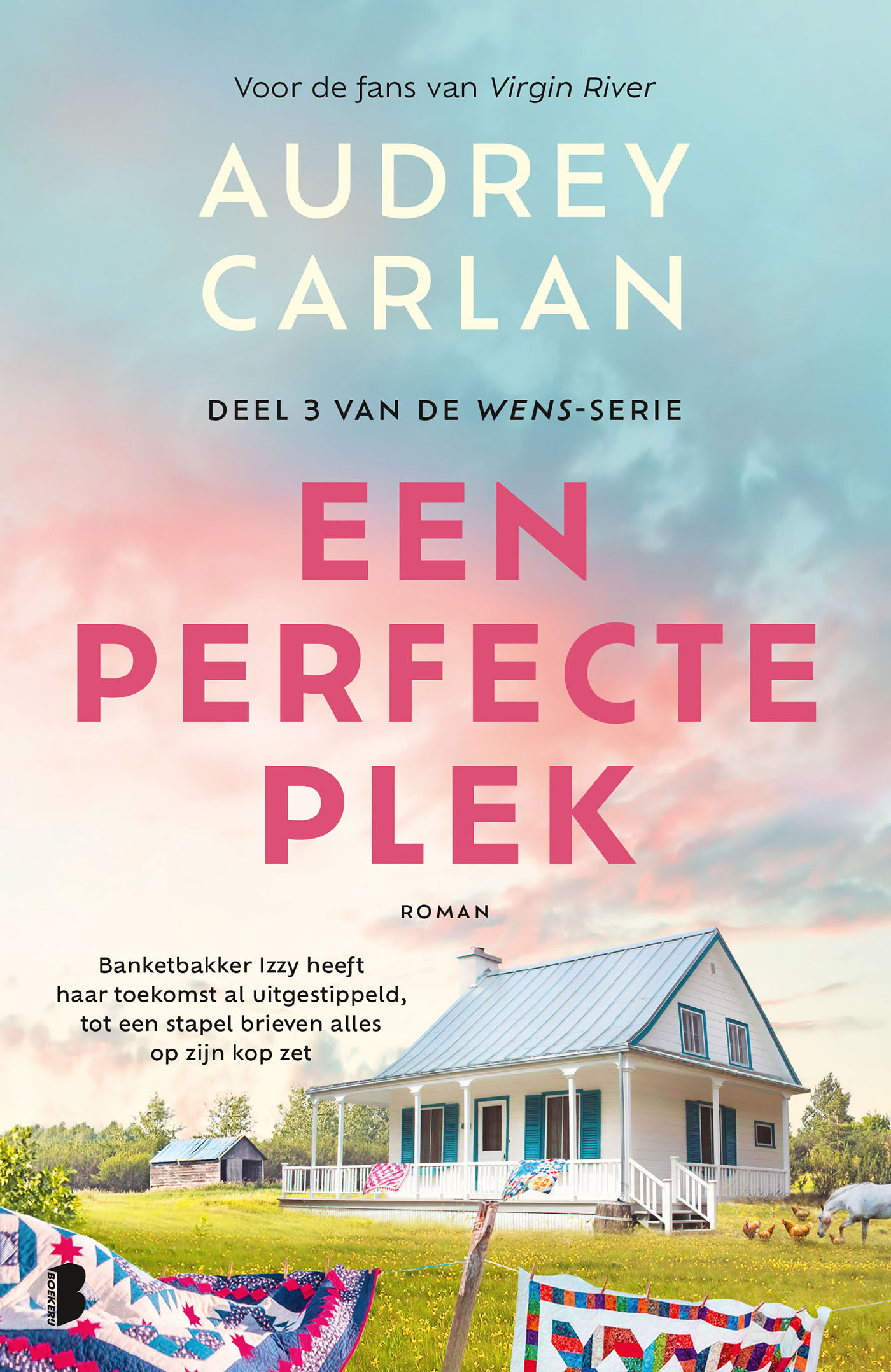 Omslag van Een perfecte plek