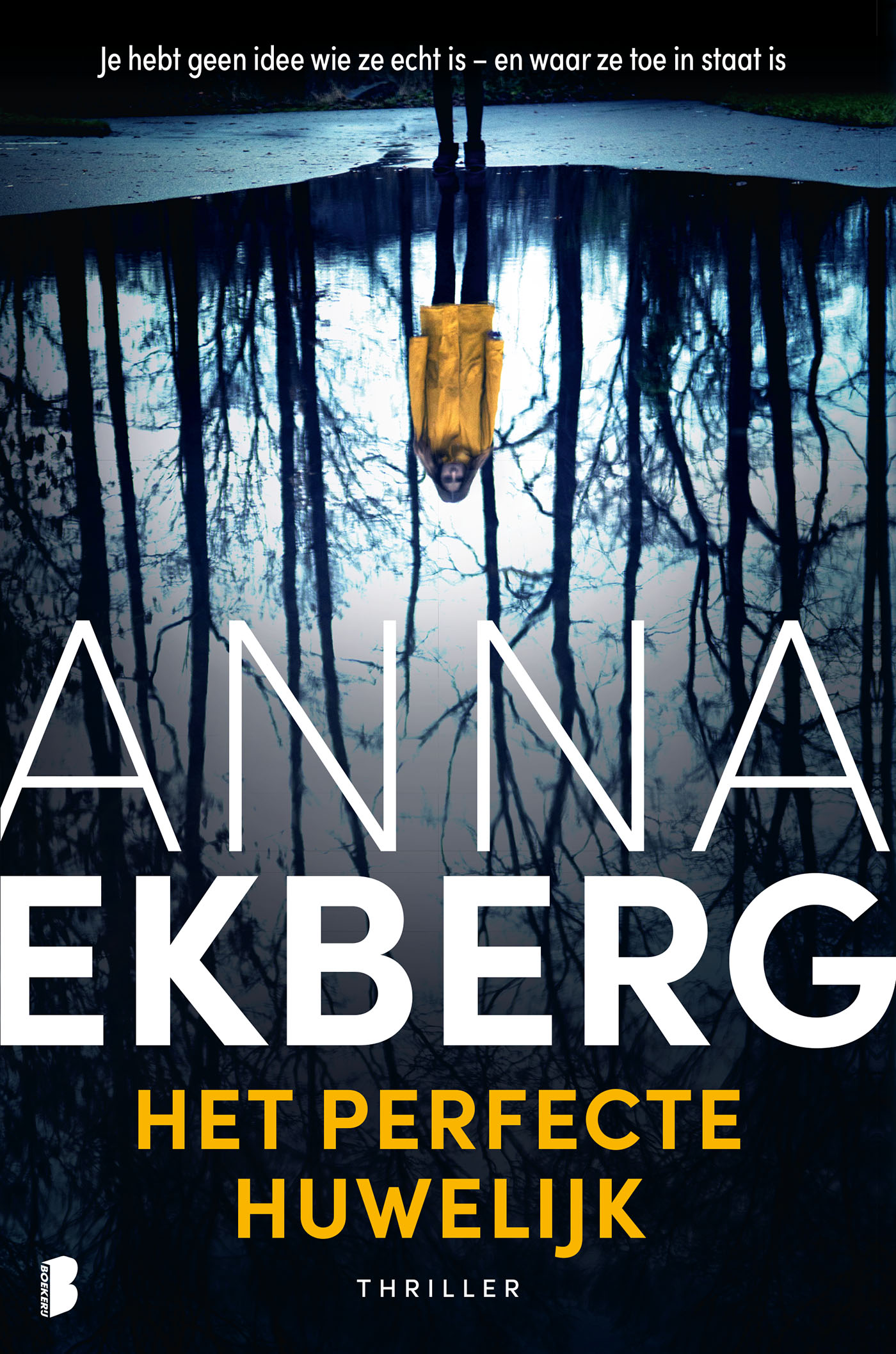 Omslag van Het perfecte huwelijk
