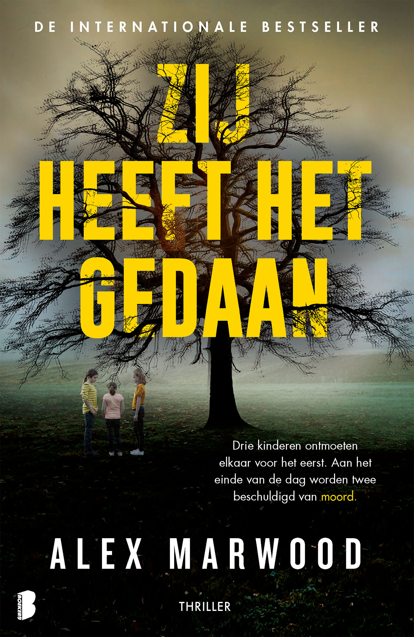 Omslag van Zij heeft het gedaan