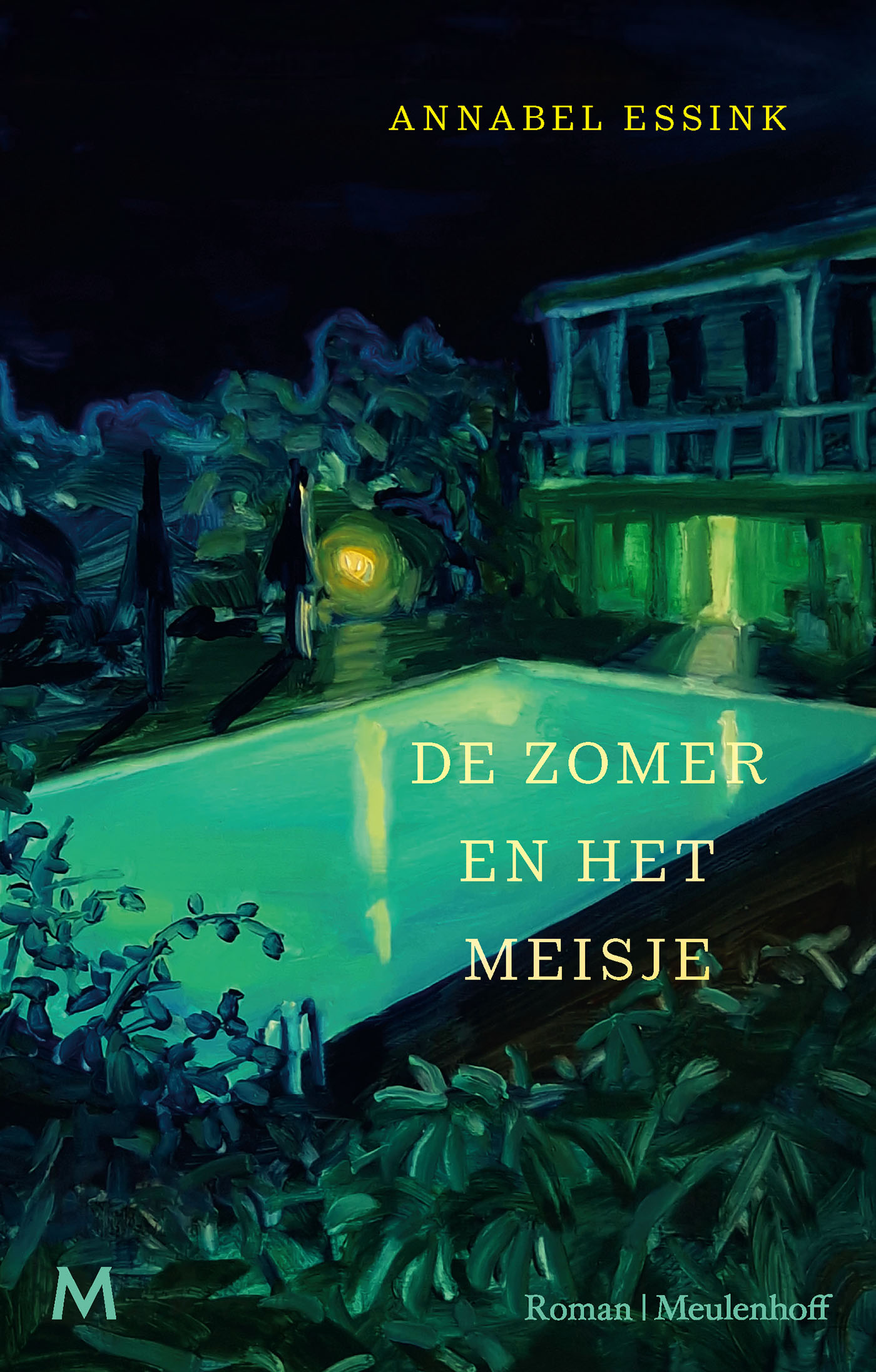 Omslag van De zomer en het meisje