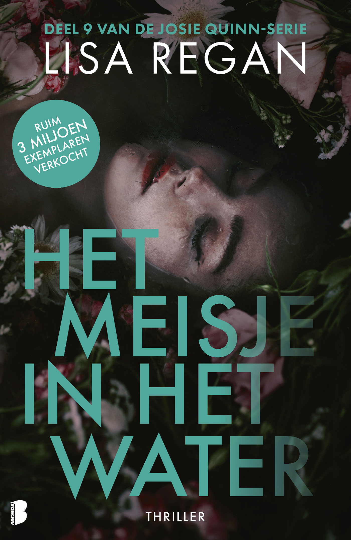 Omslag van Het meisje in het water