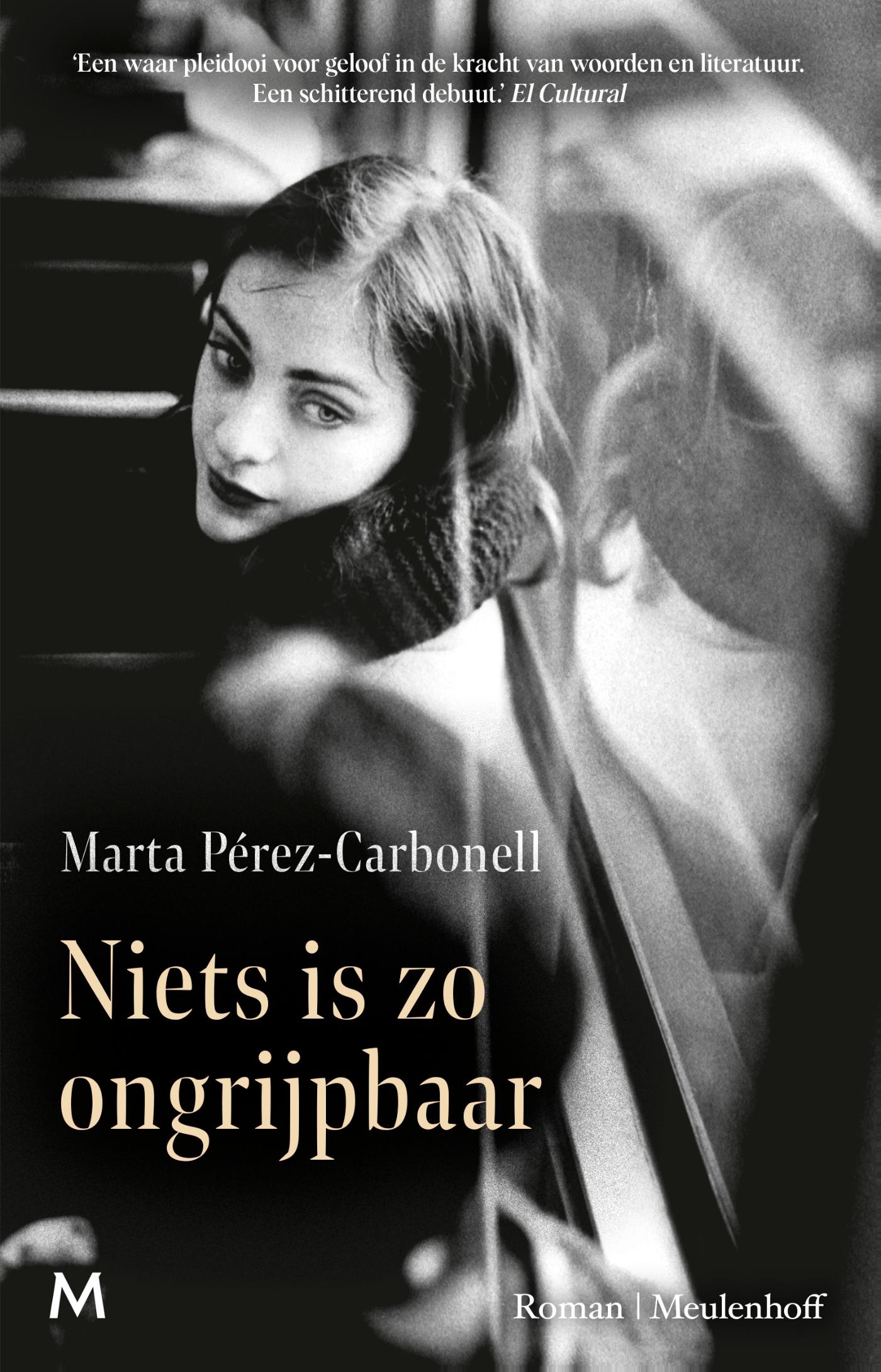 Omslag van Niets is zo ongrijpbaar