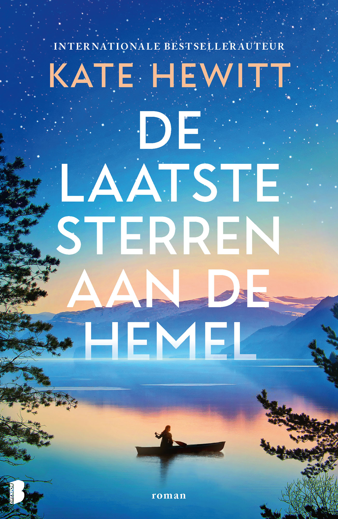 Omslag van De laatste sterren aan de hemel
