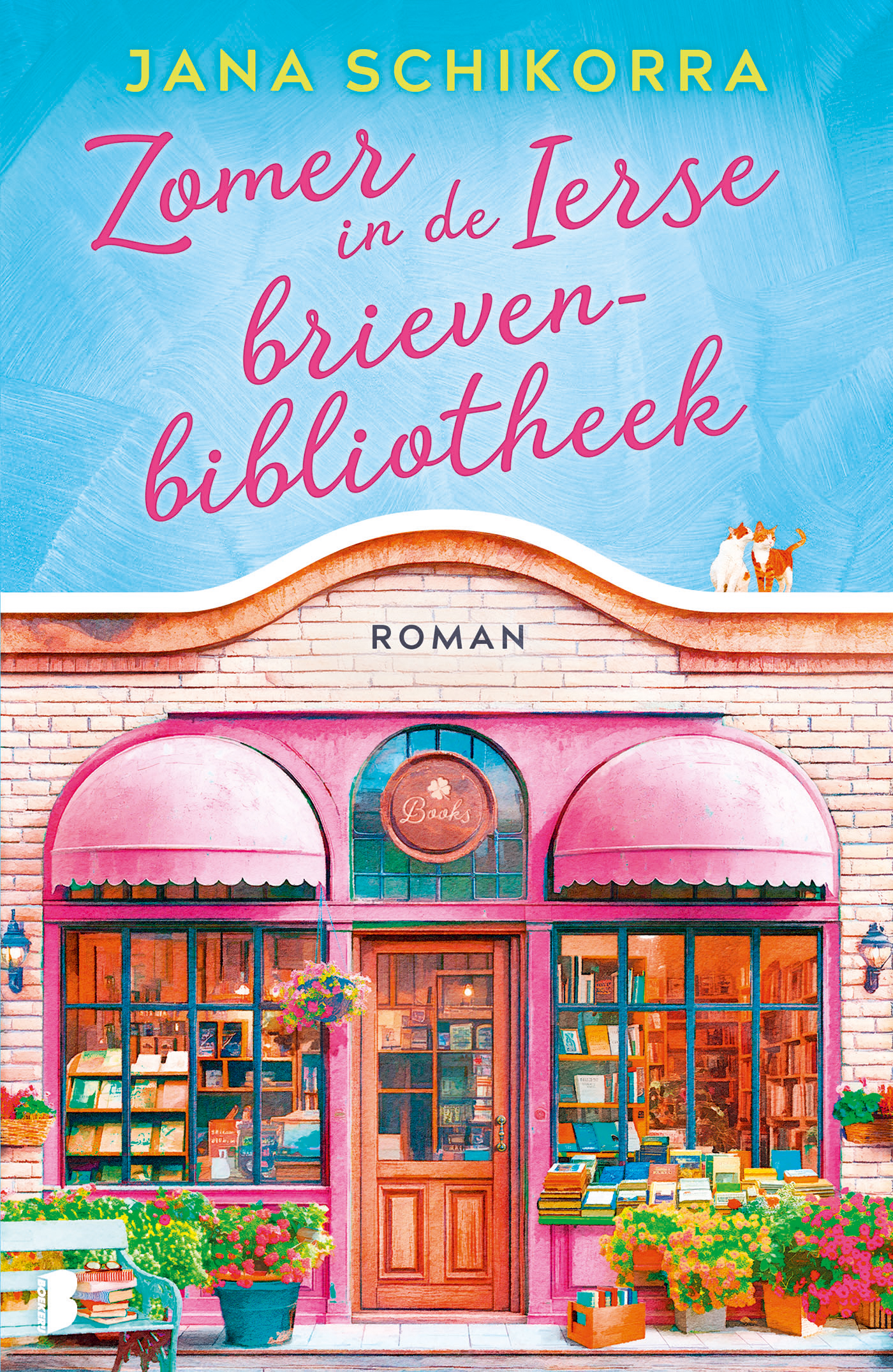 Omslag van Zomer in de Ierse brievenbibliotheek