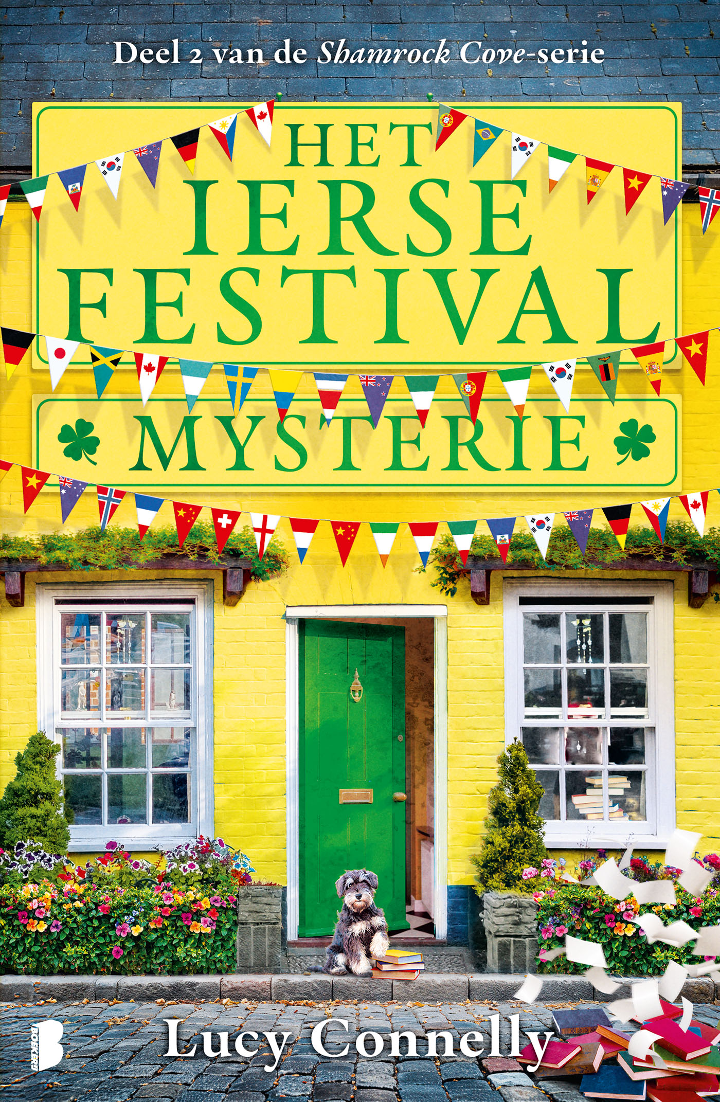 Omslag van Het Ierse festivalmysterie