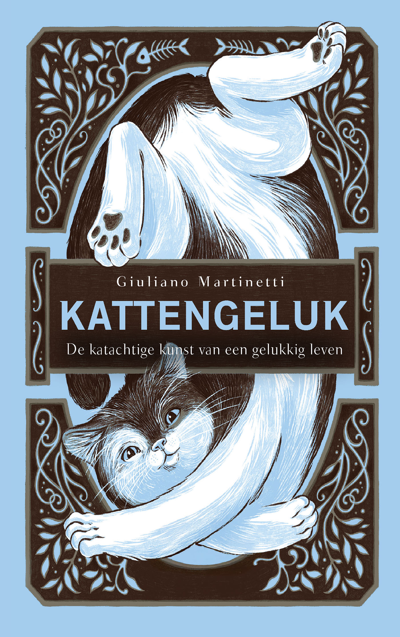 Omslag van Kattengeluk